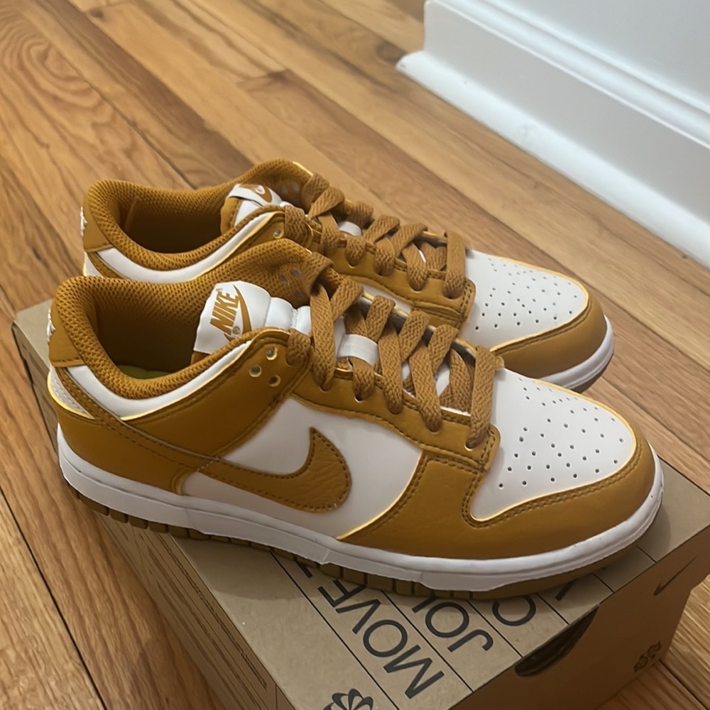 Nike Dunks - NEW